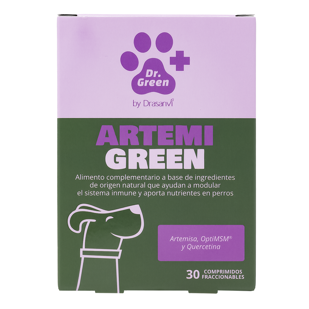 ArtemiGreen 30 Tablets Dr Green