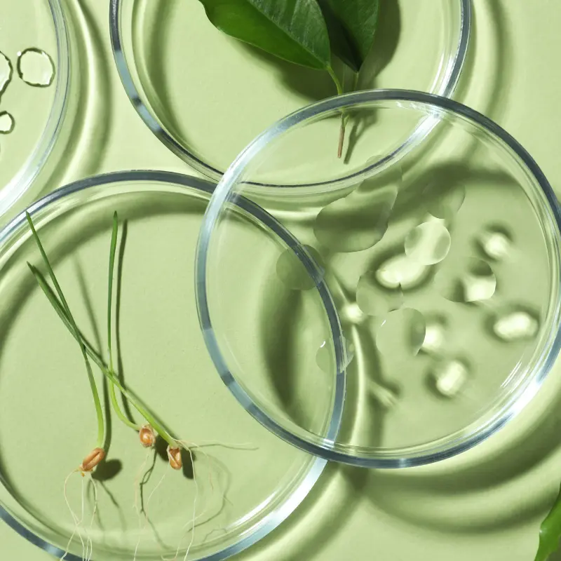 Descubre nuestra gama de cosm&eacute;tica ecol&oacute;gica y productos naturales de uso t&oacute;pico. Soluciones para tu bienestar formuladas con ingredientes naturales, sin t&oacute;xicos, que respetan tu piel y el medioambiente.&nbsp;